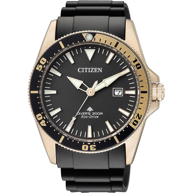 Часы Citizen BN0104-09E